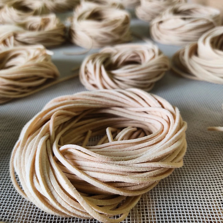 Frisch geformte Linguine, die sorgfältig zu kleinen Nestern aufgerollt auf einer Oberfläche zum Trocknen ausgelegt sind. Die einzelnen Fäden der Pasta sind sichtbar und zeigen ihre raue Textur für perfekte Soßen-Haftung.