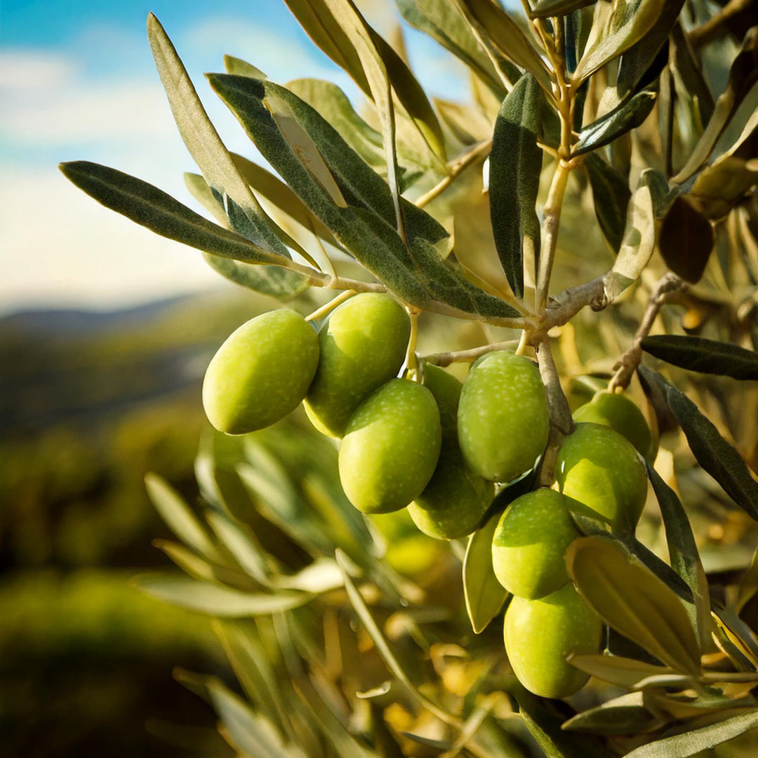 Sugo del Pescatore I Hochwertige Fisch-Soße I 180g
