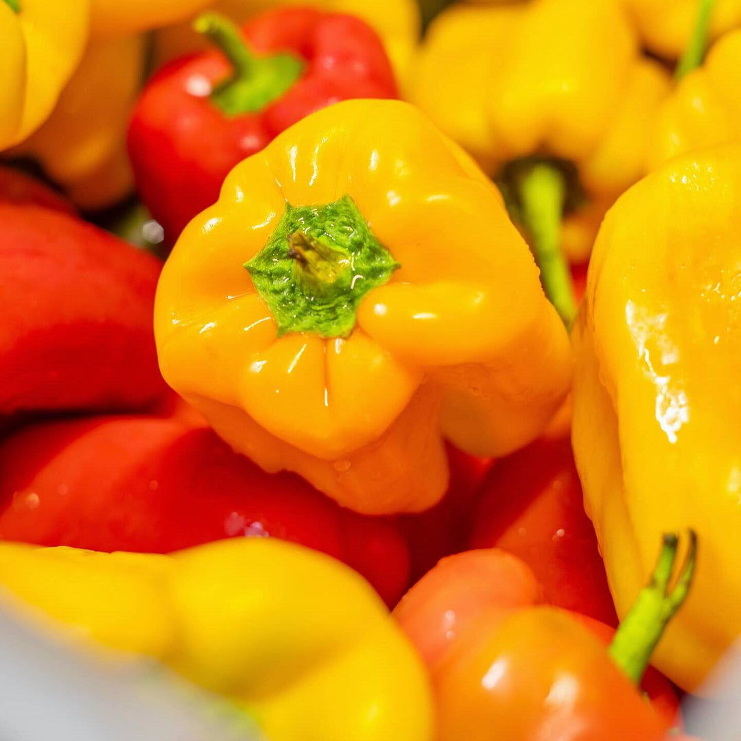 Sugo alla Caponata I Delikatess Gemüse-Soße I 180g