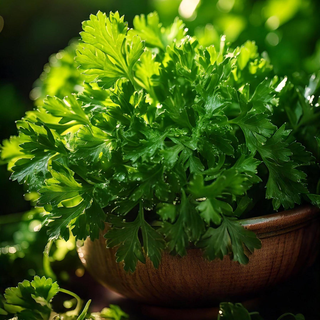 Sugo alla Caponata I Delikatess Gemüse-Soße I 180g