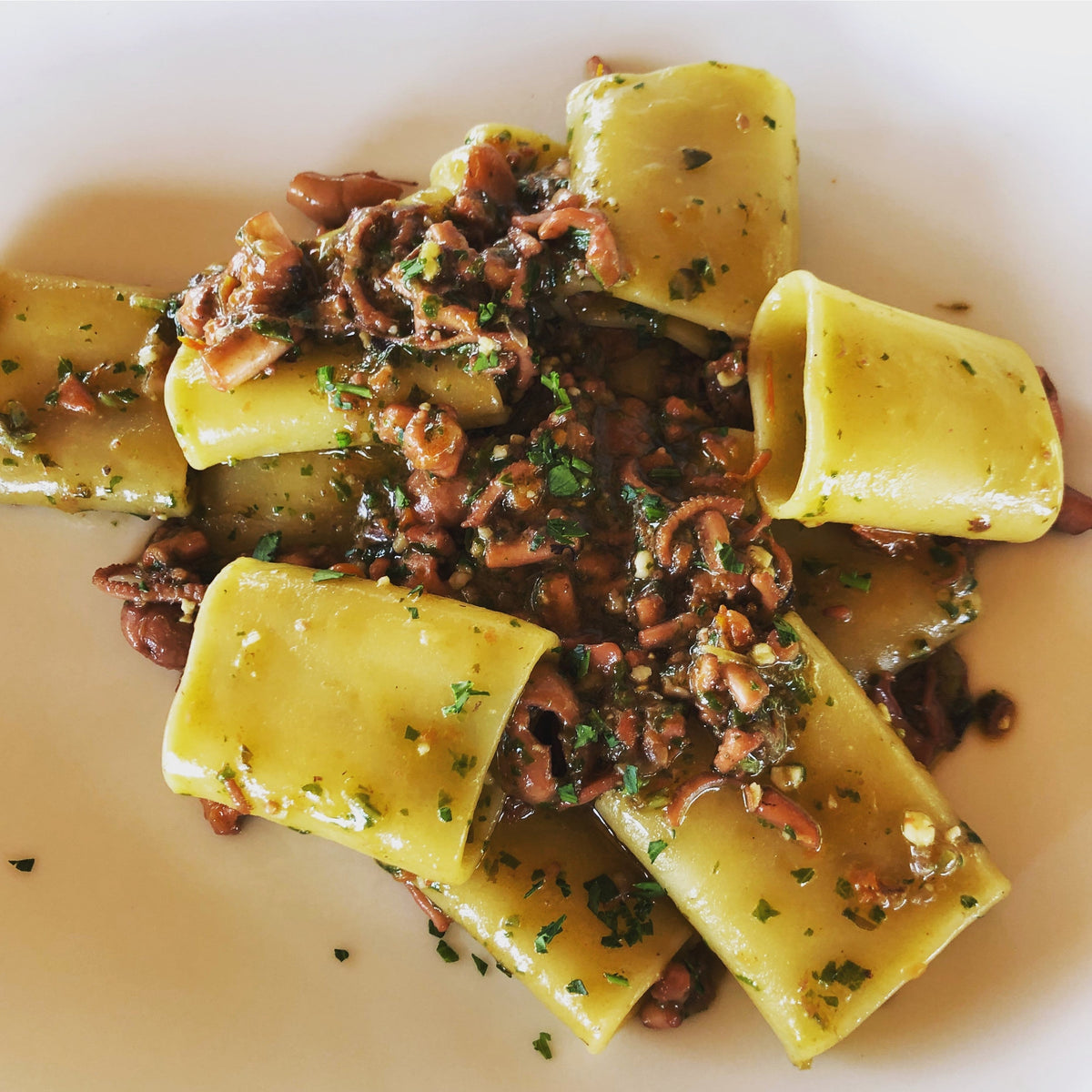 Paccheri al Ragù di Seppia – Paccheri mit mediterranem Tintenfisch-Ragù